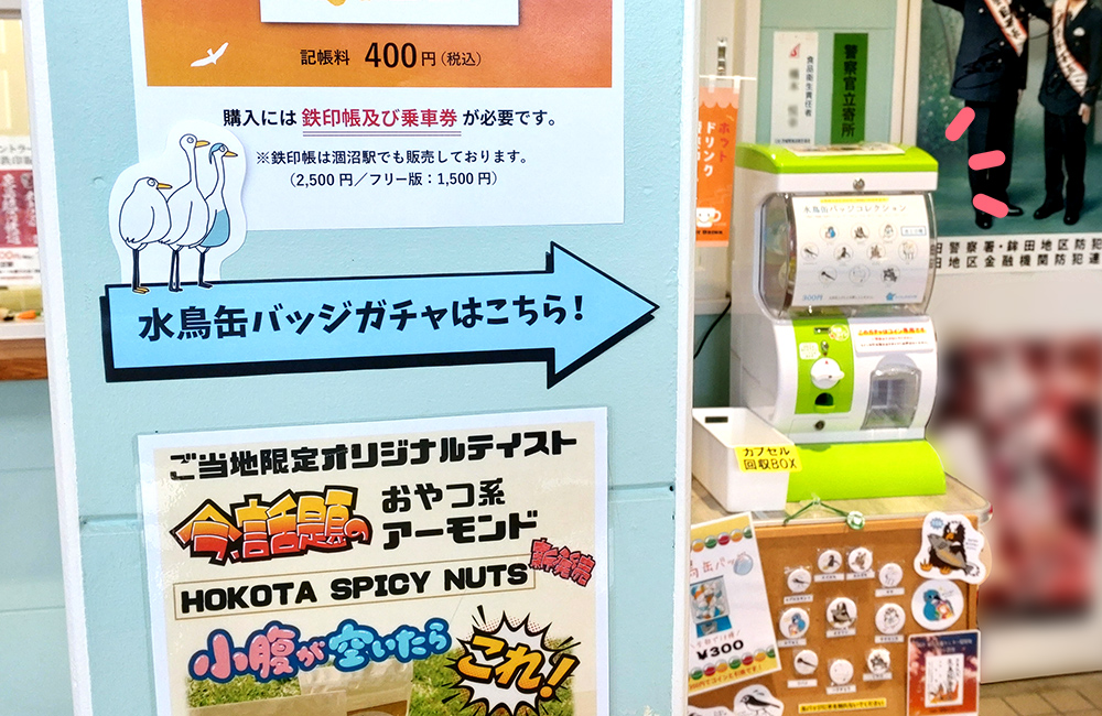 水鳥缶バッジガチャ販売中！ – 鉾田市観光物産協会